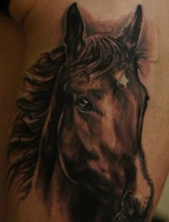 前卫很很酷的一张马纹身图片