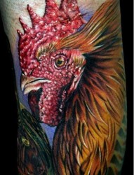 一张超逼真的公鸡纹身图片