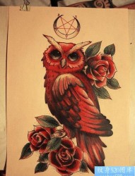 很酷流行的一张猫头鹰纹身图片