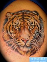 一款老虎头纹身图片