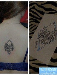 女人后背唯美好看的图腾猫咪纹身图片