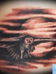 推荐一张流行的猫头鹰纹身图片
