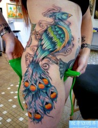 美女侧腰一张性感漂亮的孔雀纹身图片