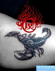 手臂内侧很酷经典的蝎子纹身图片