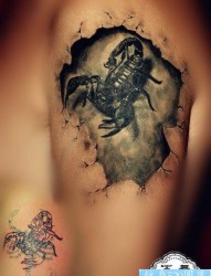 手臂经典很酷的写实蝎子纹身图片