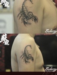 男生手臂前卫经典的蝎子纹身图片