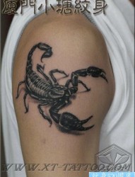 男生手臂经典的黑白写蝎子纹身图片