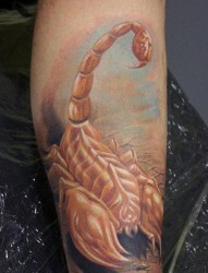 腿部流行经典的欧美彩色蝎子纹身图片