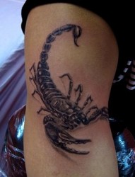手臂经典帅气的蝎子纹身图片