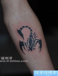 经典时尚的手臂图腾蝎子纹身图片