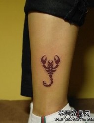 腿部一张彩色图腾蝎子纹身图片