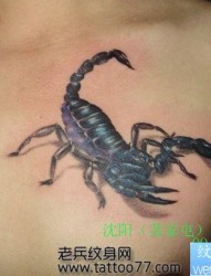 男性喜欢的胸部蝎子纹身图片