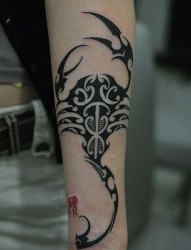 一张手臂帅气经典的图腾蝎子纹身图片
