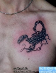 胸部经典的蝎子纹身图片