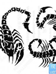 经典流行几款图腾蝎子纹身图案