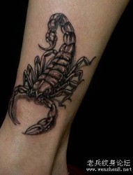 蝎子纹身图片：一张流行经典腿部蝎子纹身图案
