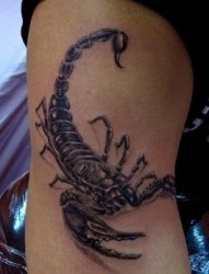 蝎子纹身图片：一张手臂蝎子纹身图案