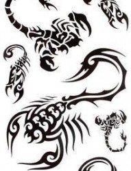 蝎子纹身图片：几款超帅的图腾蝎子纹身图案