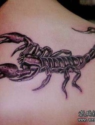 一张经典流行美女肩部蝎子纹身图案