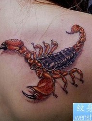 蝎子纹身图片：美女肩部彩色蝎子纹身图案