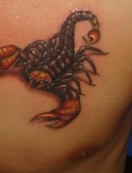 胸部彩色蝎子纹身图案