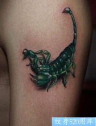 蝎子纹身图片：一张手臂彩色蝎子纹身图案