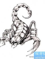 纹身520图库：蝎子纹身图片图案
