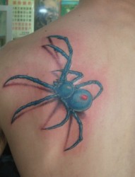 肩甲上的蜘蛛图案纹身