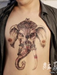 男性前胸凶狠前卫的象神纹身图片