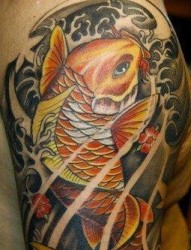 纹身520图库推荐一张大臂传统鲤鱼纹身图片