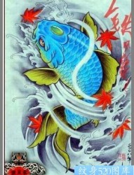 多张经典的鲤鱼纹身图案手稿供大家欣赏