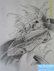 一张单色的鲤鱼纹身图案
