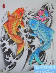 两条彩色鲤鱼莲花纹身图片
