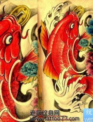 一张满背彩色鲤鱼牡丹纹身图片
