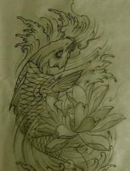 一组经典实用的鲤鱼莲花纹身手稿