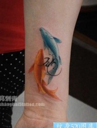 女人手臂彩色小鲤鱼纹身图片