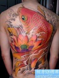 满背华丽的彩色鲤鱼莲花纹身图片