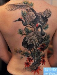 美女背部一张白鹤仙鹤纹身图片