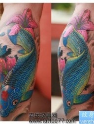 腿部华丽的彩色鲤鱼百合花纹身图片