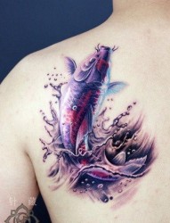 男生肩背流行精美写实的彩色鲤鱼纹身图片
