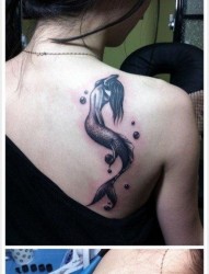 女人后肩背唯美漂亮的美人鱼纹身图片