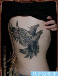 老鹰纹身图片：腰部老鹰纹身图案