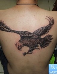 老鹰纹身图片：背部老鹰纹身图案
