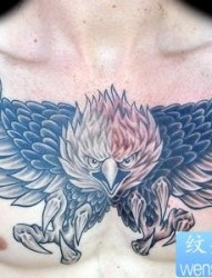 老鹰纹身图片：胸部老鹰纹身图案