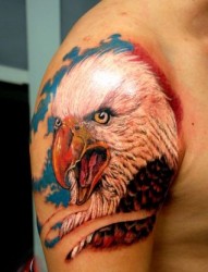 手臂好看的彩色老鹰纹身图片