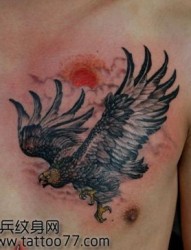 帅气的胸部老鹰纹身图片