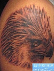 老鹰纹身图片：经典另类手臂老鹰头像纹身图案