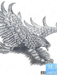 老鹰纹身图片：雄鹰展翅纹身图案