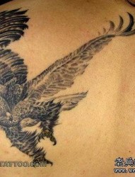 老鹰纹身图片：肩部展翅的老鹰纹身图案