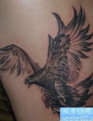 老鹰纹身图片：一张手臂展翅老鹰纹身图案